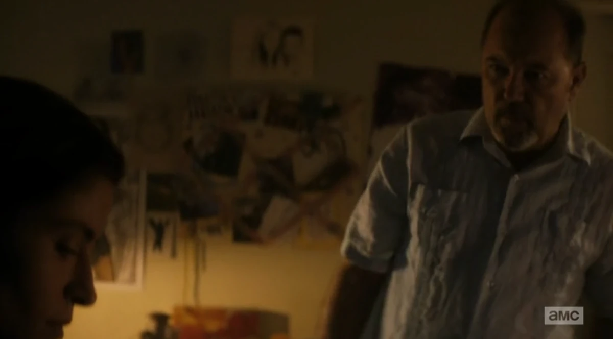 Ofelia Salazar/The Good Man Fear the Walking Dead Wiki Fandom